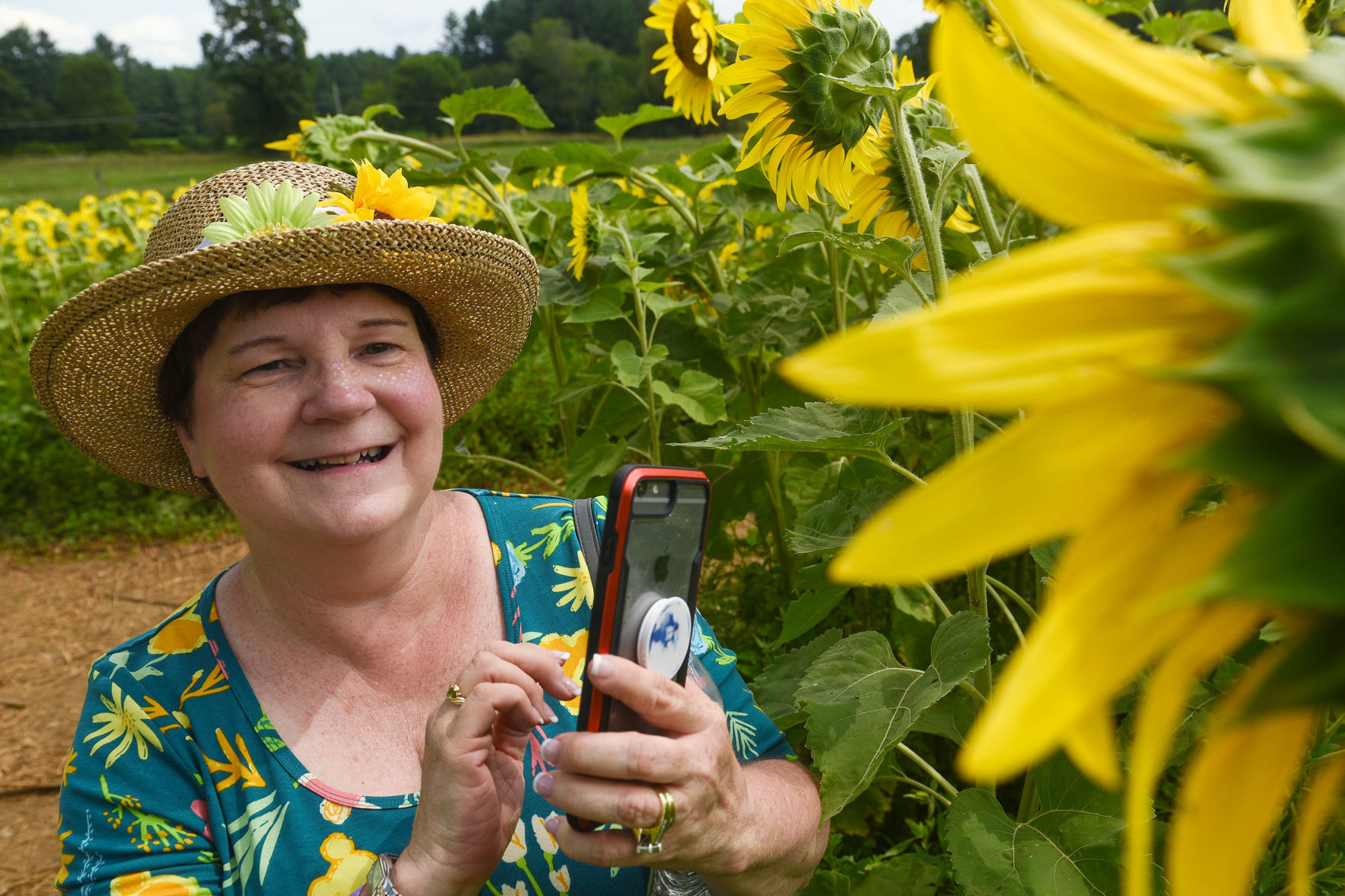 Scene Setters -- Sunflower Festival in Lee